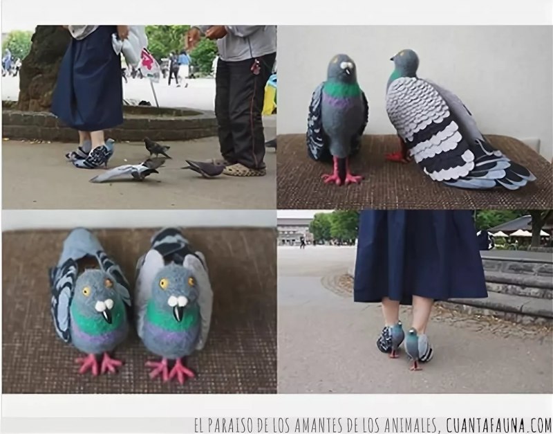 Тапочки в виде голубей