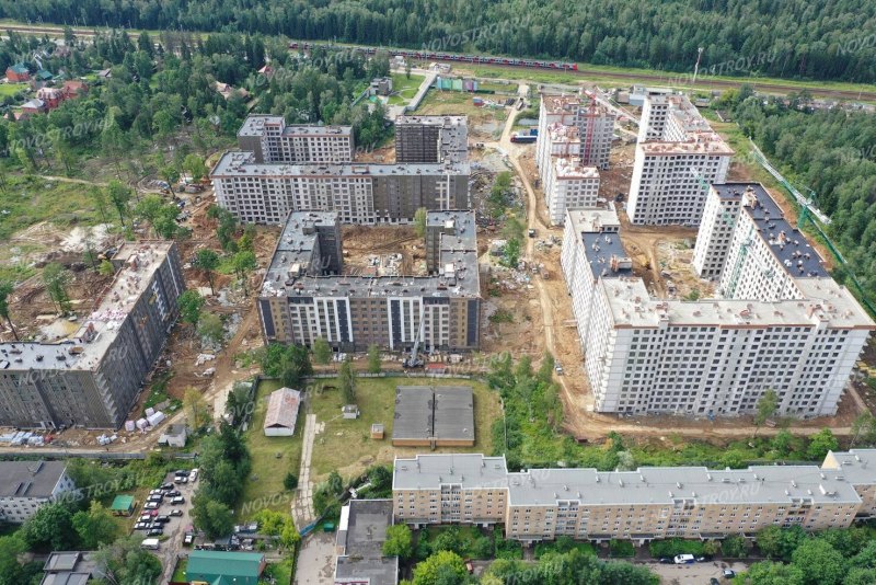 Серебрица птица