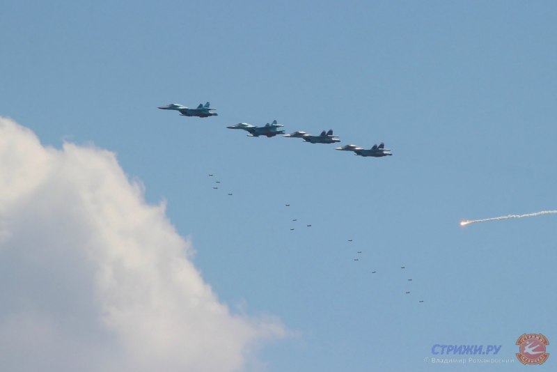 Стая Стрижей в городе