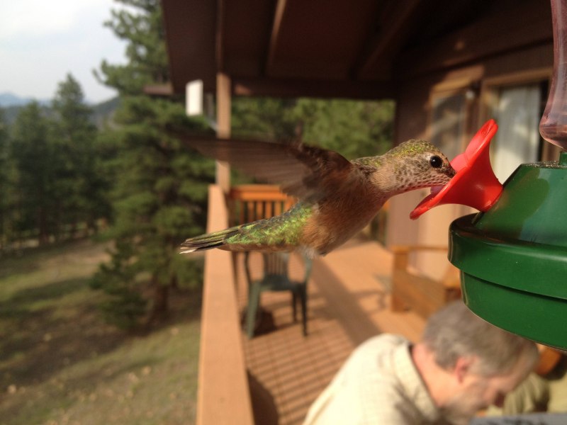 Удачный Кадр фото приколы
