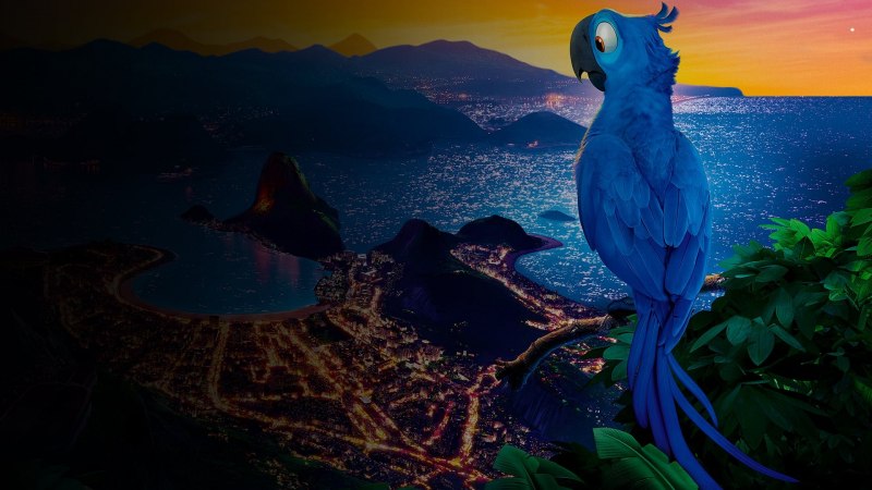 Rio Parrot 2011