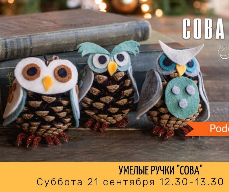 Совы из шишек и фетра