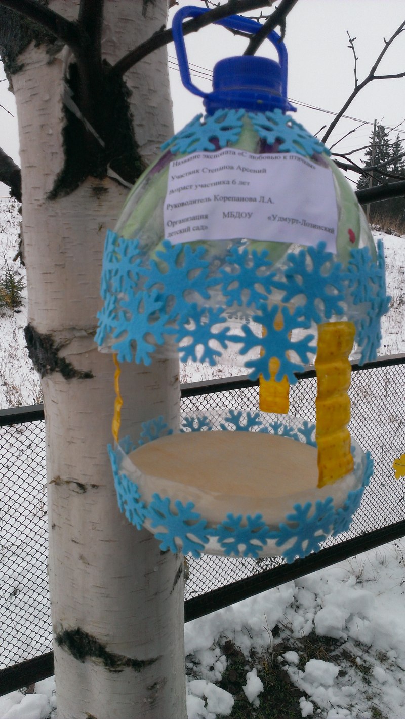 Кормушка для птиц на природе
