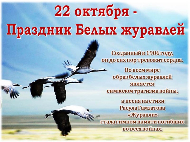 Косяк журавлей