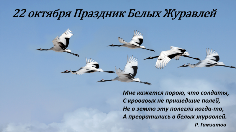 Журавлиный Клин в небе