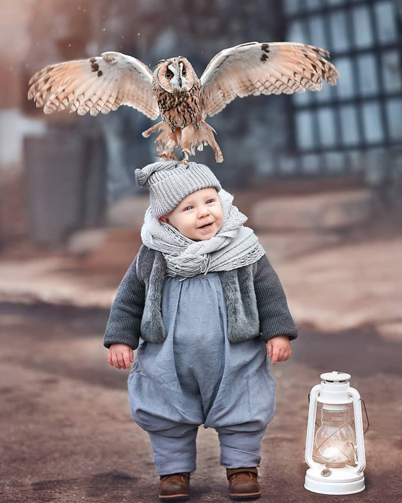 Забавные дети и животные