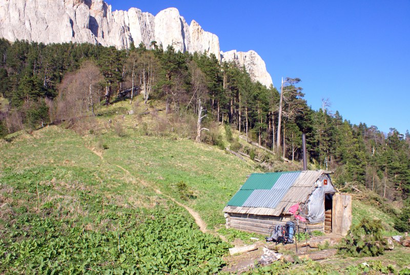Капский Ткач