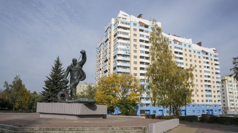 Белоголовый Орлан хищная птица