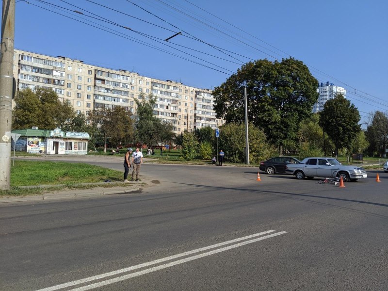 Черногрудый канюк