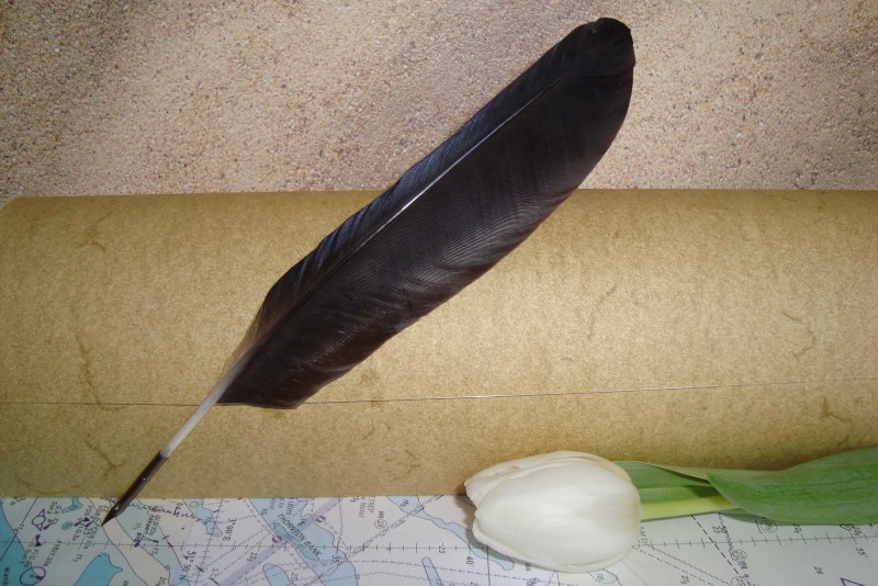 Crow Quill Pen