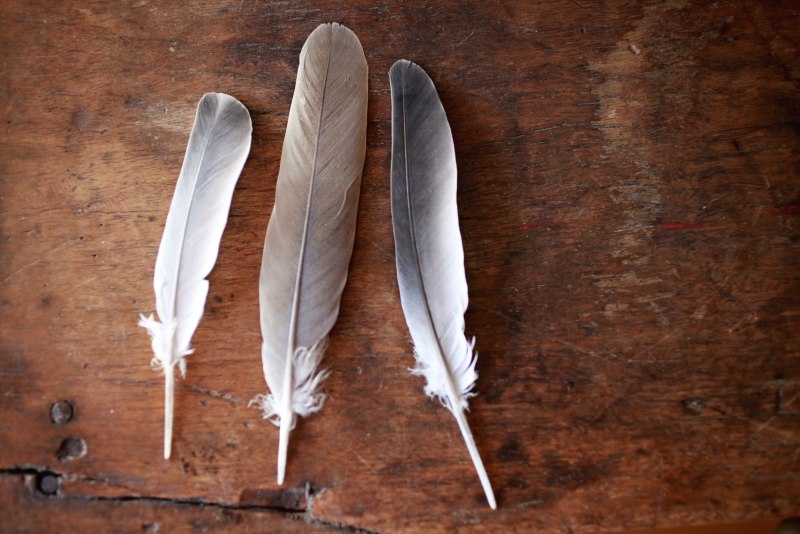 Feather СССР