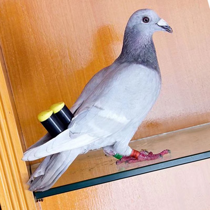 Зимний домик для голубя