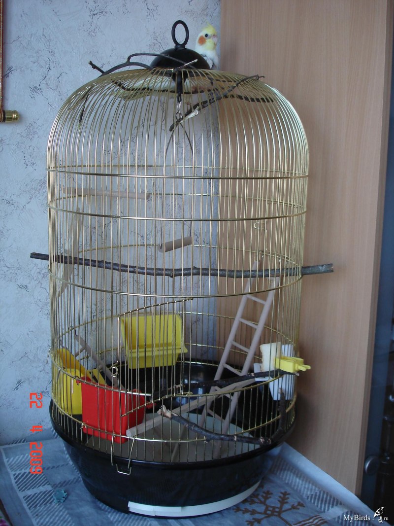 Клетка Ferplast Wilma 83х67х158.5см