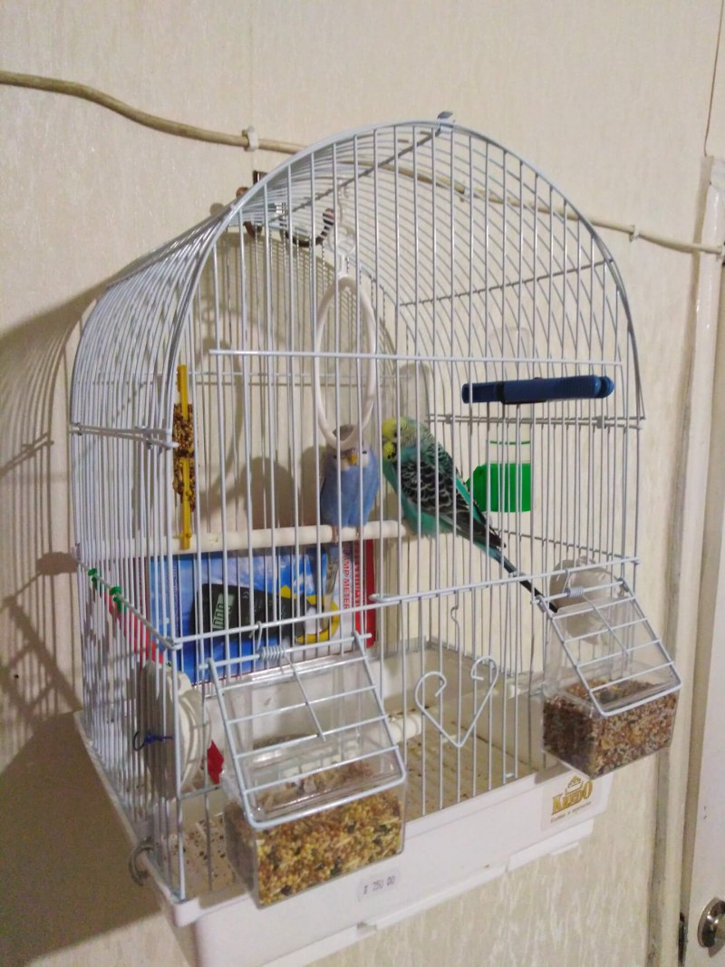 Клетка для птиц Inter-Zoo Sonia 45х28х63см