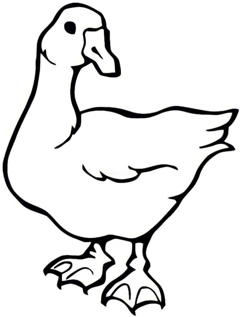 Гусь раскраска