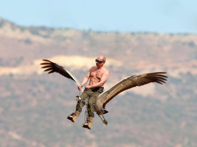 Путин вожак Стерхов