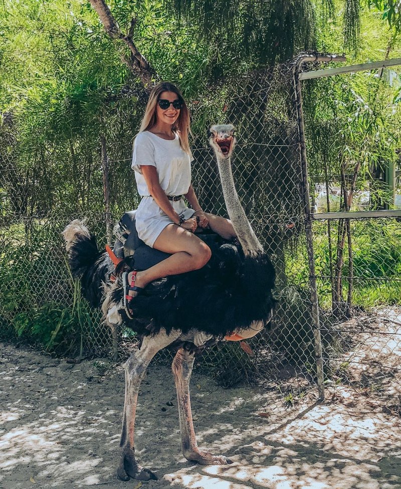 Девушка на страусе