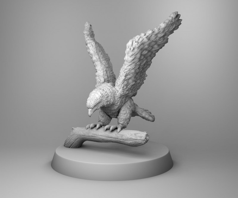 Eagle 3d model