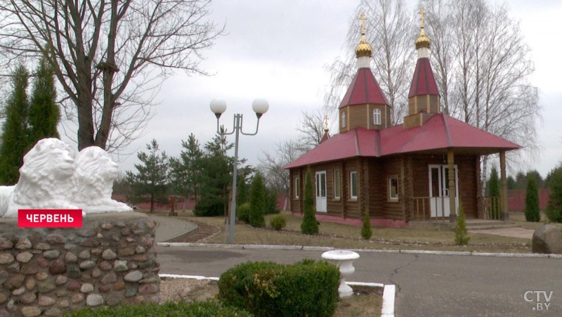 Клёст-еловик гнездо