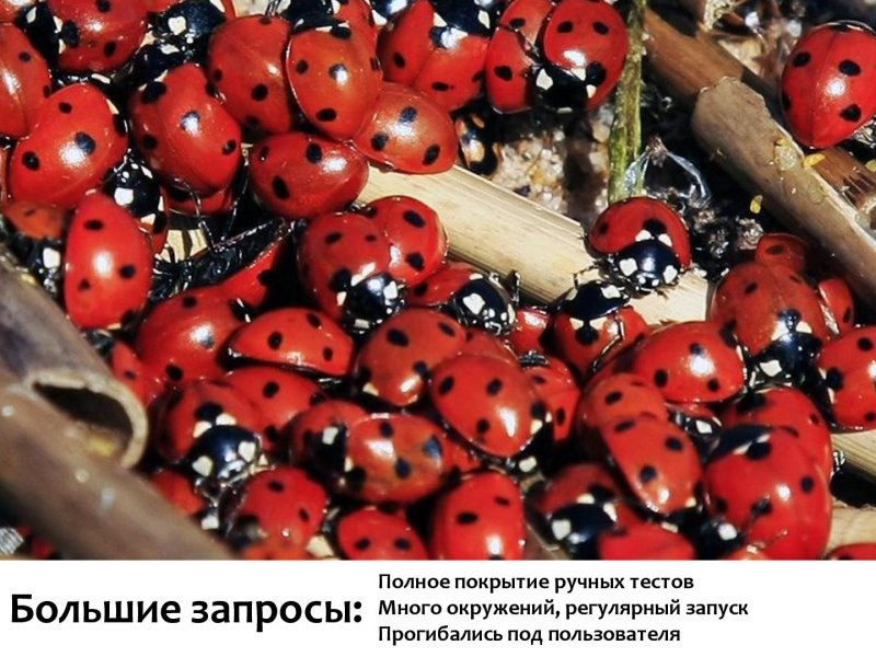 Насекомые в коре дерева
