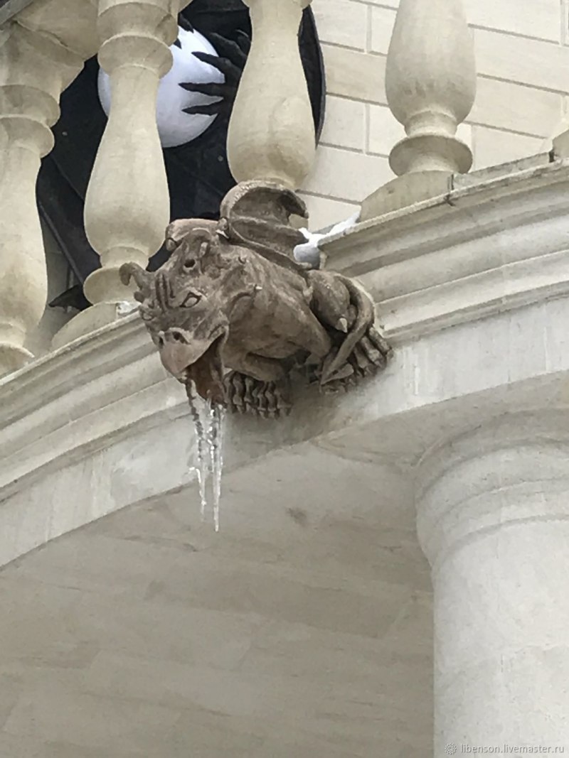 Гвианская Гарпия