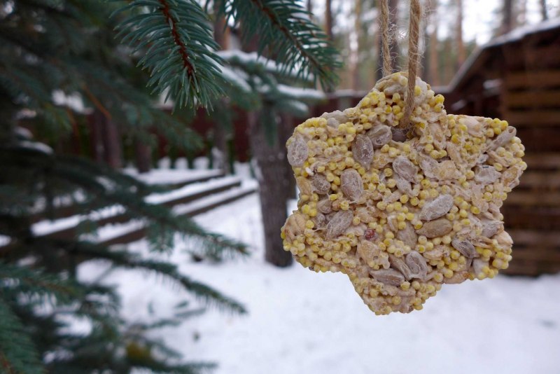 Съедобная кормушка для птиц