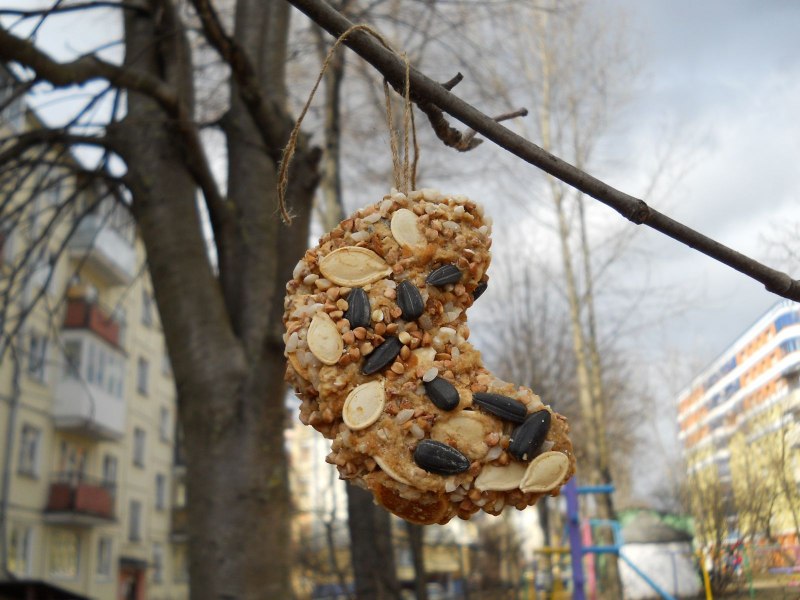Эко кормушка для птиц