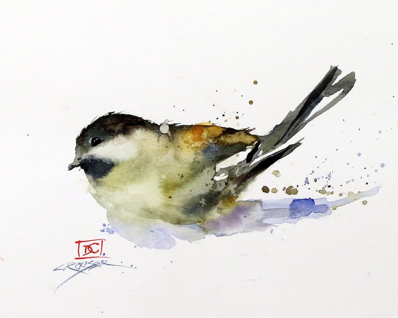Aquarelia модель