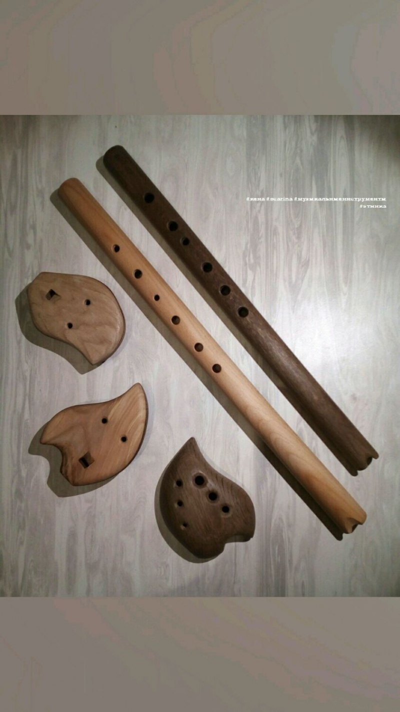 Дубровник птица