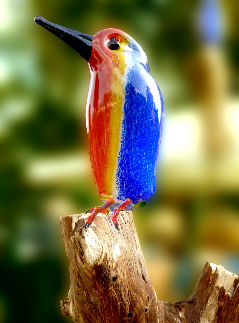 White throat птица