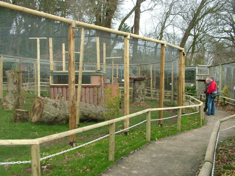 Птичник для экзотических птиц