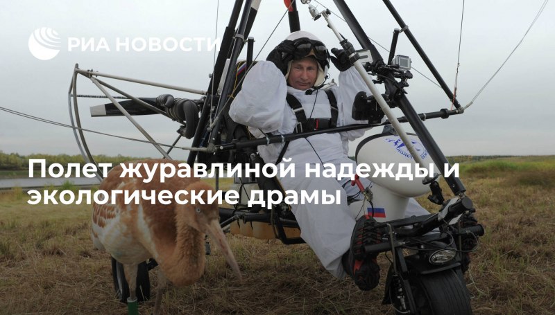 Дельтаплан и журавль