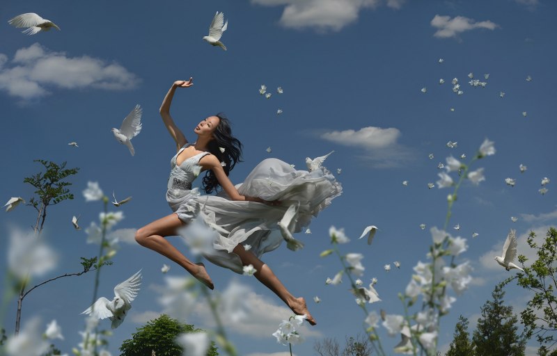 Flight of hope