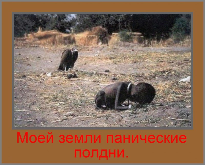 Кевин Картер девочка и Стервятник