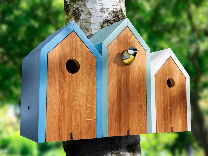 Скворечник Angry Birds