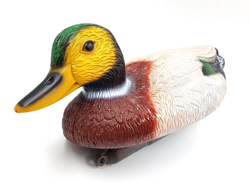 Duck Shadow