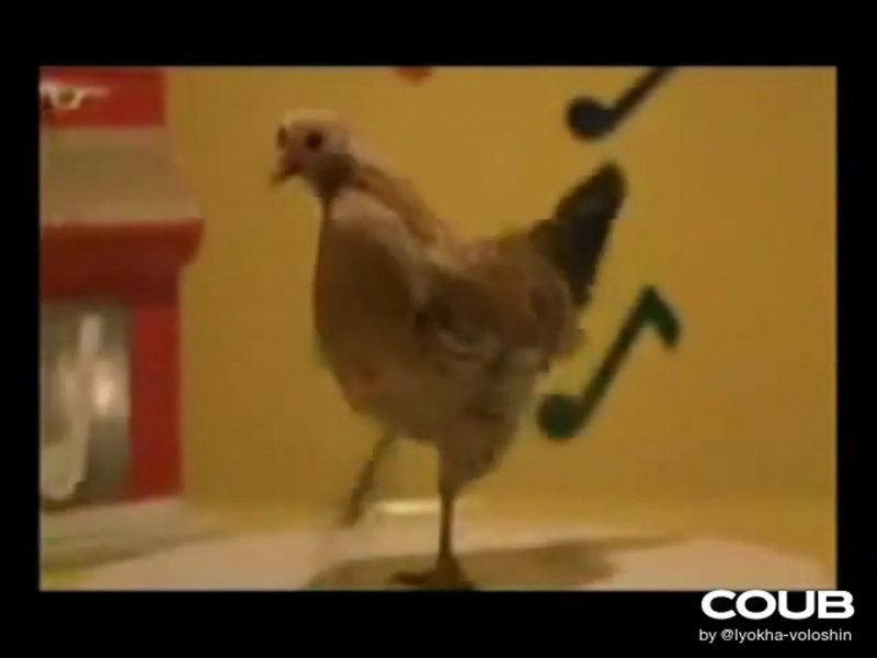 Курица которая танцует рэп