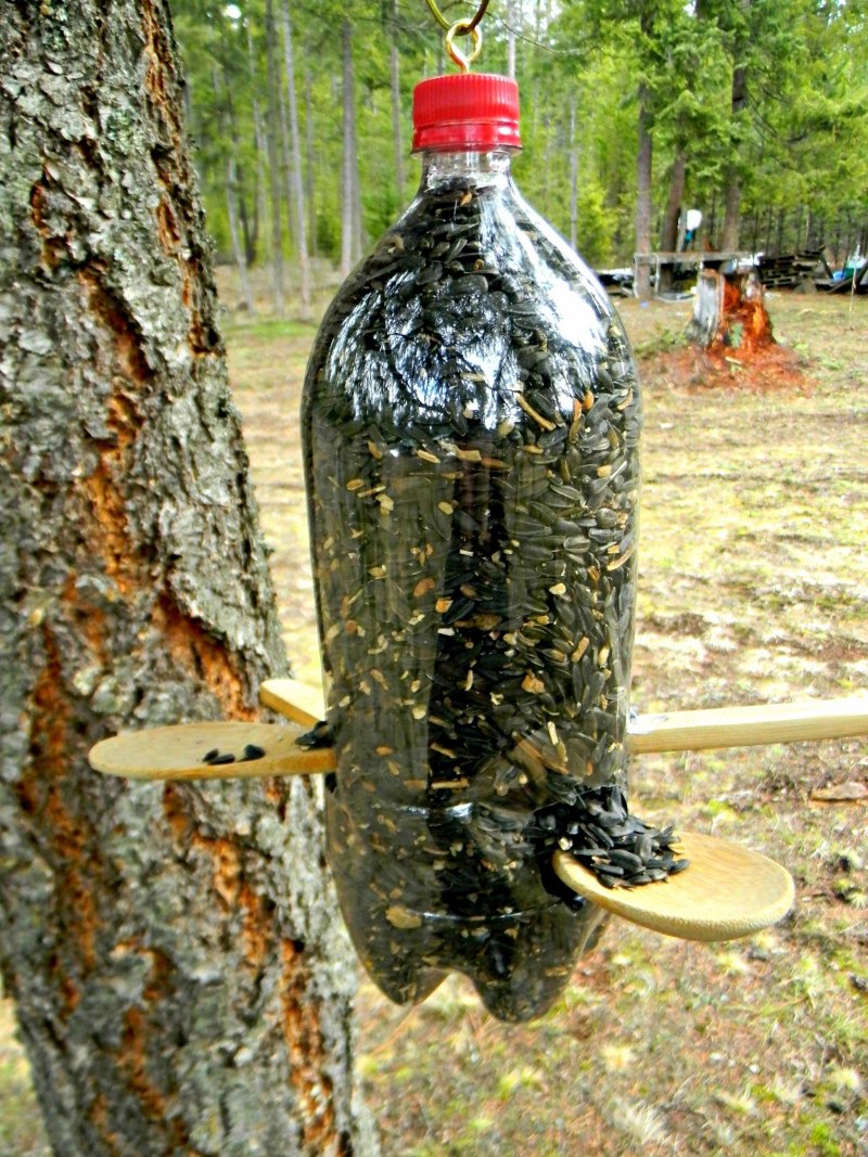 Кормушки для птиц из пластиковых бутылок