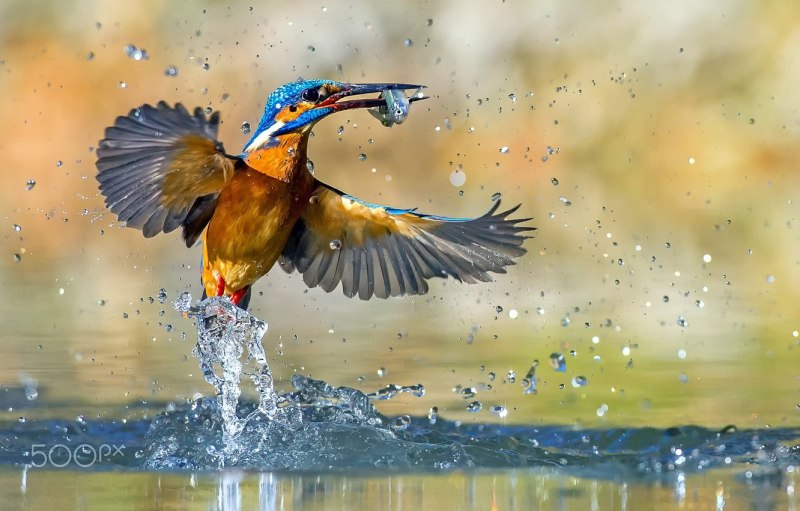 Брызги воды