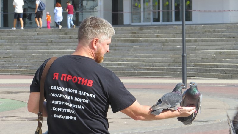 Хабаровские голуби