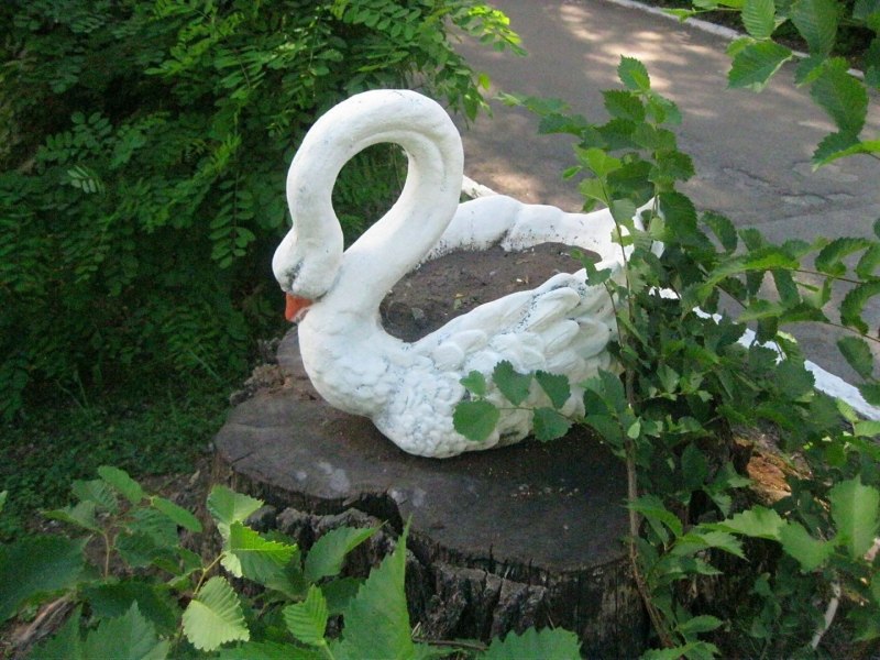 Изолон лебедь