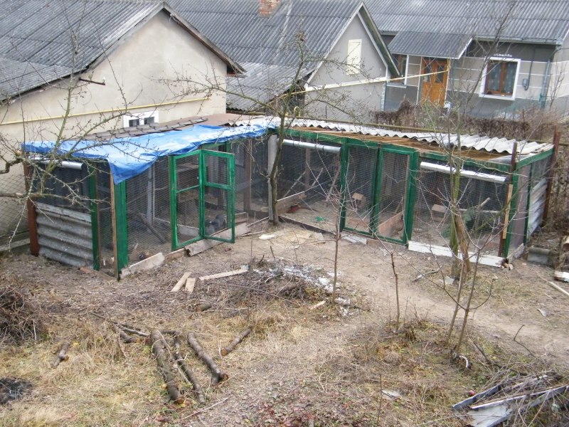 Домики для фазанов