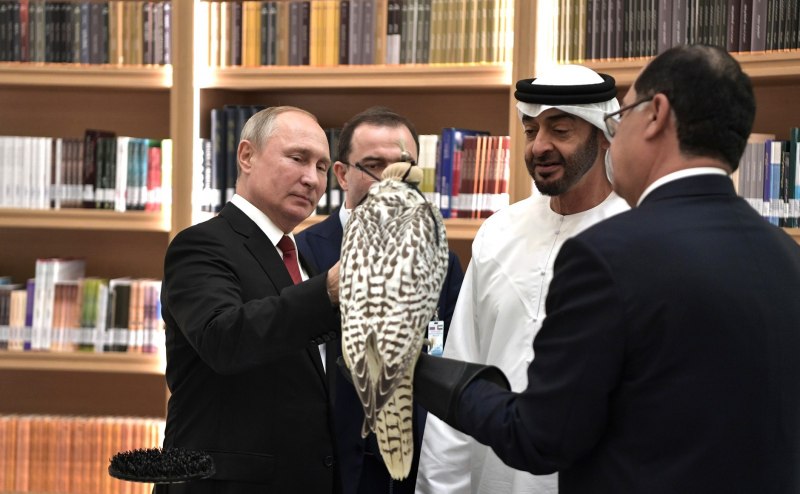 Дрофа вихляй