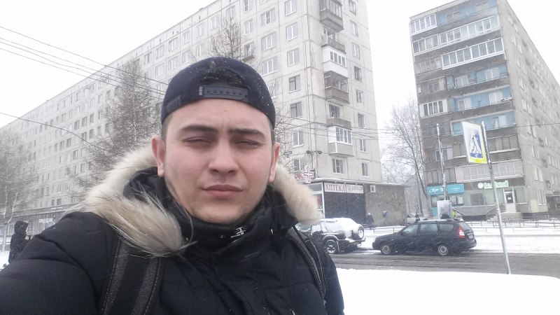 Колибри обои на телефон