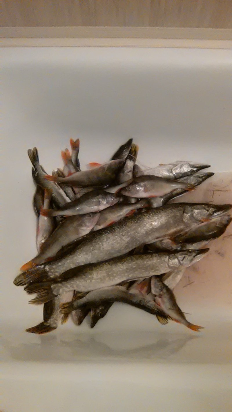 Рыба в пост