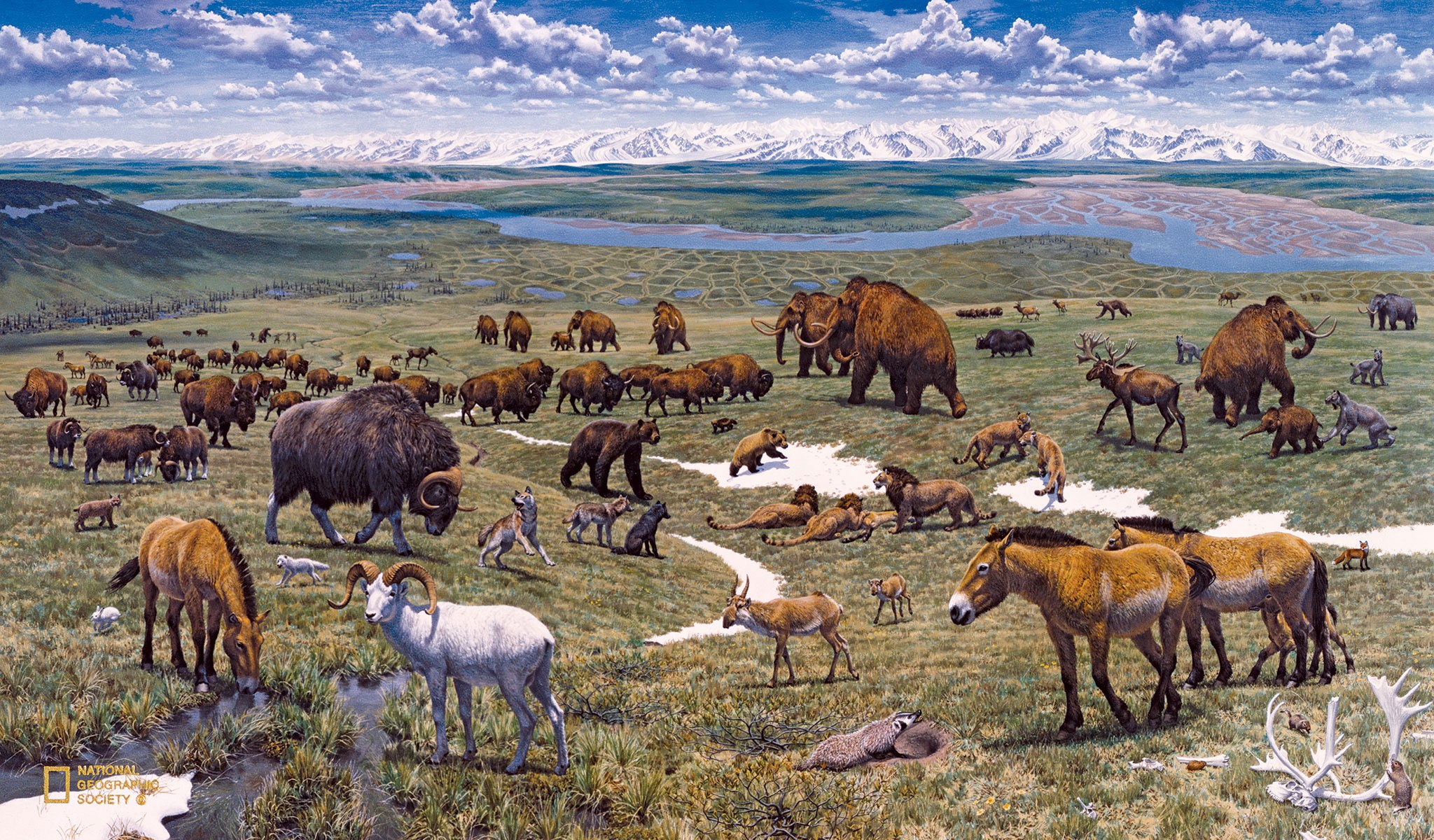 Животный мир европы. Мегафауна плейстоцена. Фауна плейстоцена Европы. Тундростепь ледникового периода. Кайнозойская мегафауна.