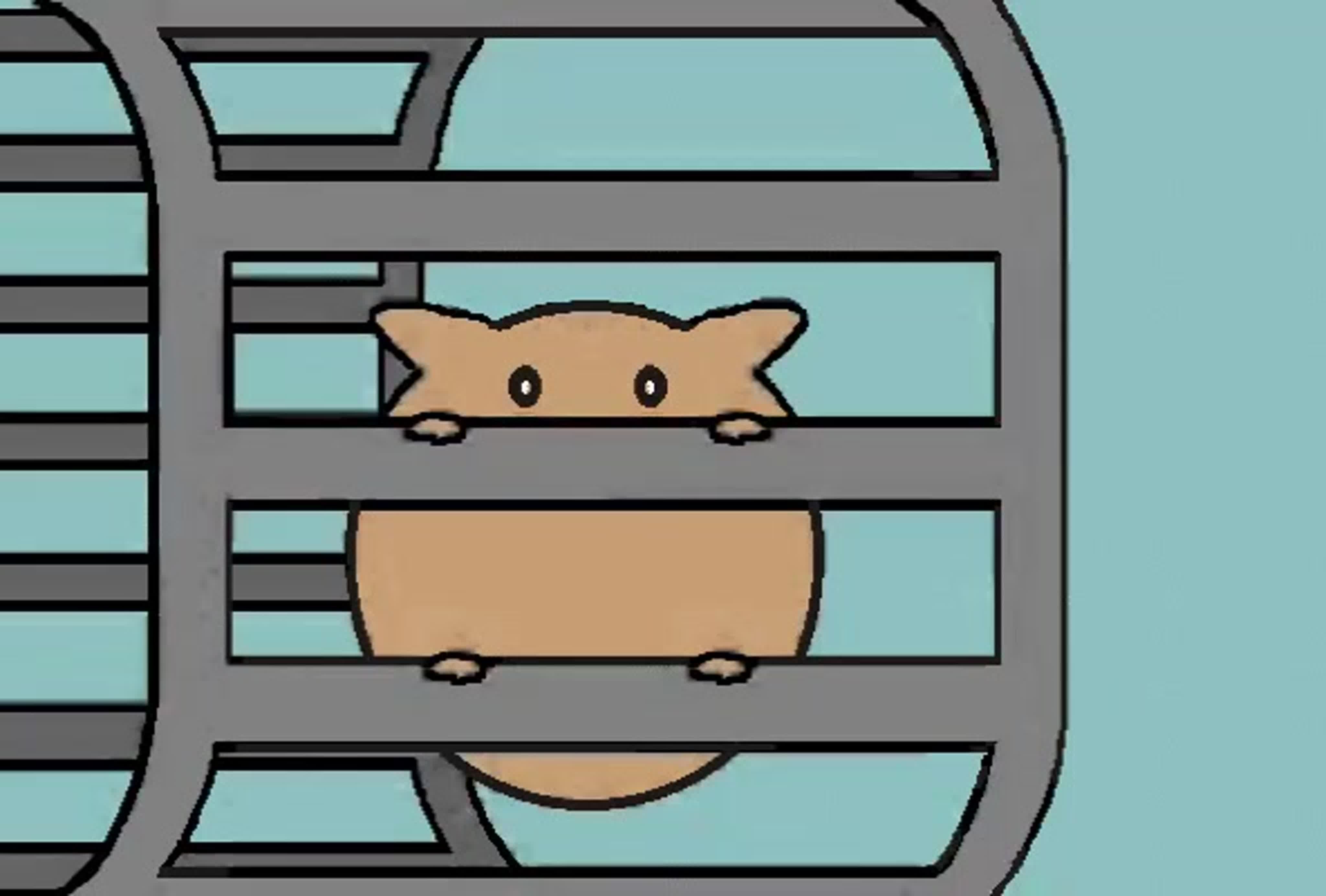 Какие карточки лучше прокачивать в hamster. Хомяк в колесе gif. Мышь в колесе. Хомяк gif. Хомячок гиф.