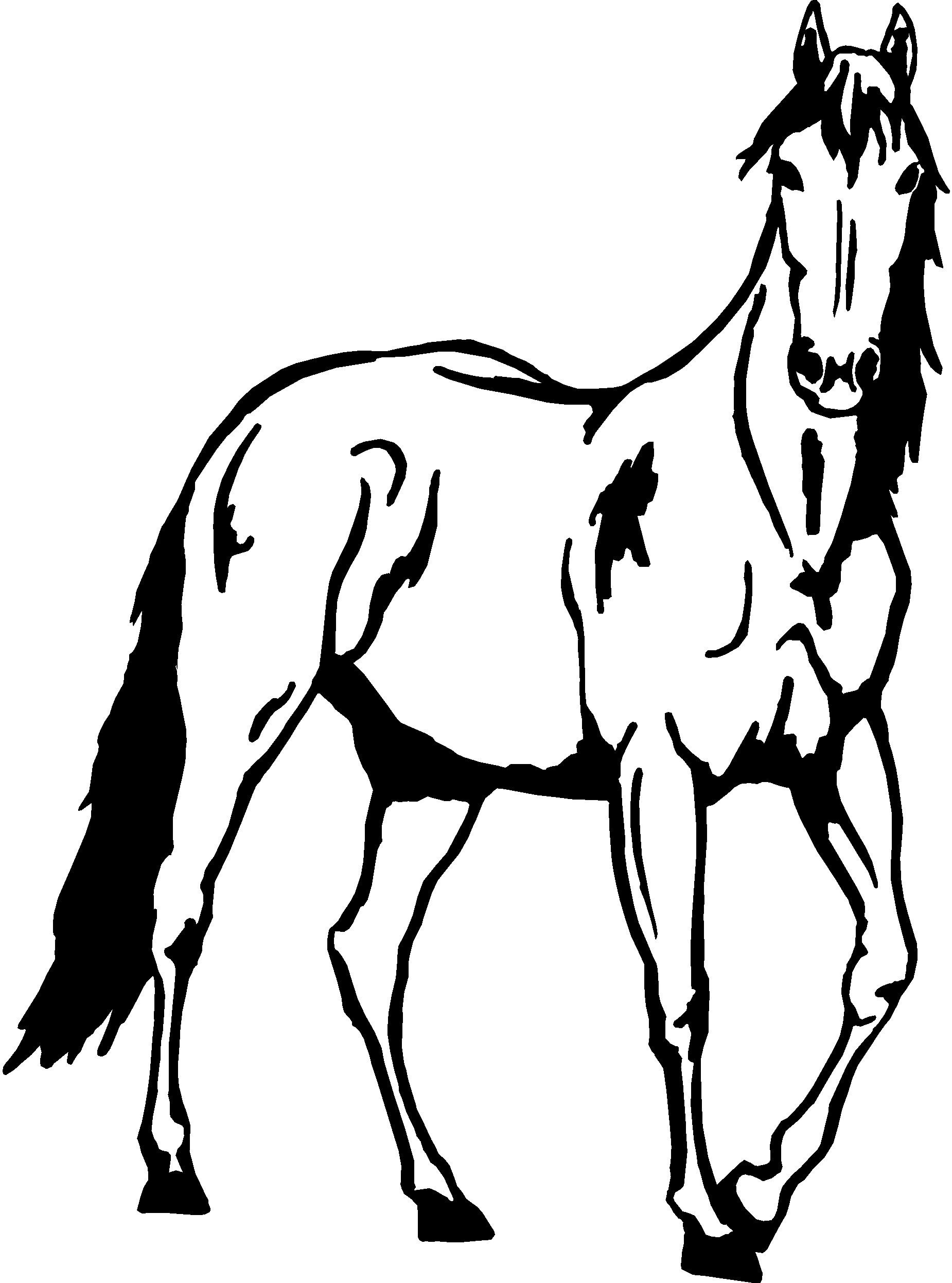 Лошадка черно белая. Трафарет лошади. Лошадь черно белая. Лошадь векторный рисунок. Лошадь контур.
