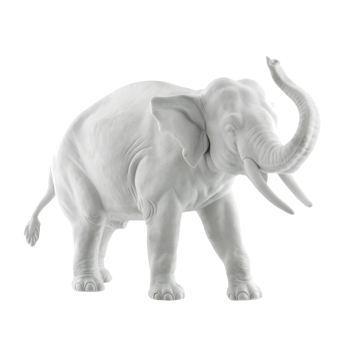 Слон альбинос. Белый слон. Слоны альбиносы. Белый слоник