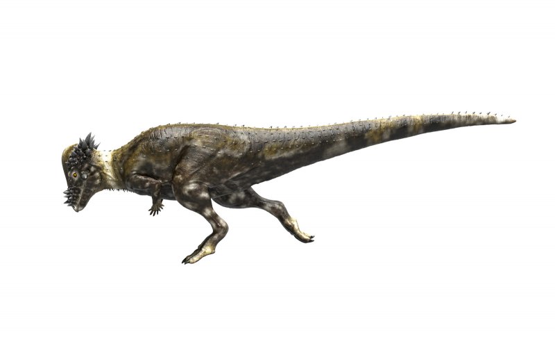 Пахицефалозавр Jurassic World